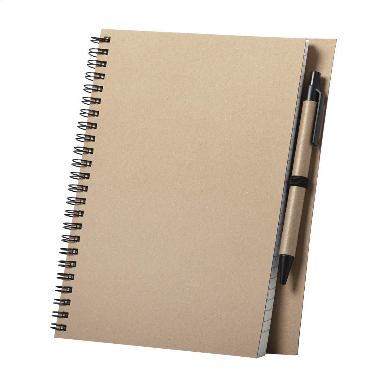 Salix notebook