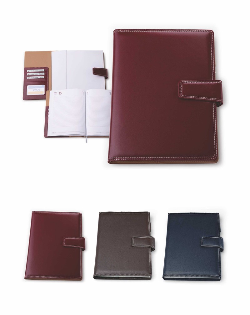 246 - BASIC agenda lux 17×24 diverse culori