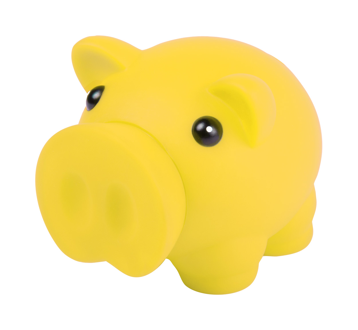 Donax piggy bank