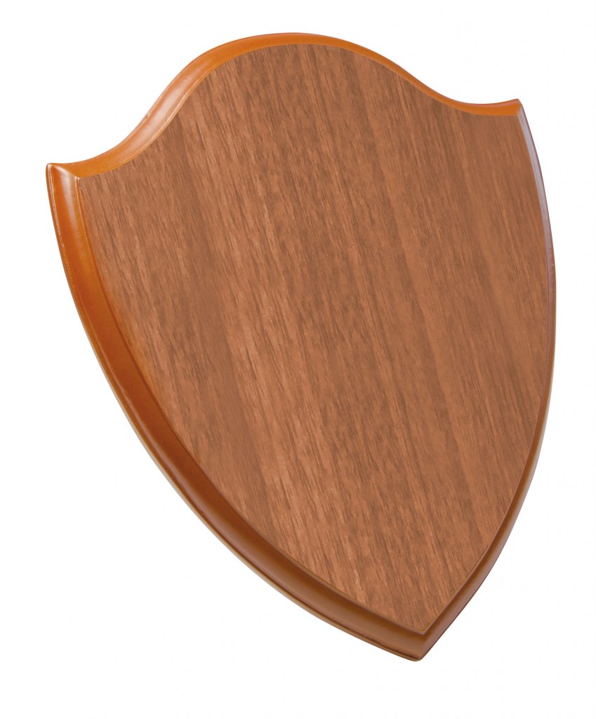 PLAQUE LIGHT-COLORED  200X250X15 MM