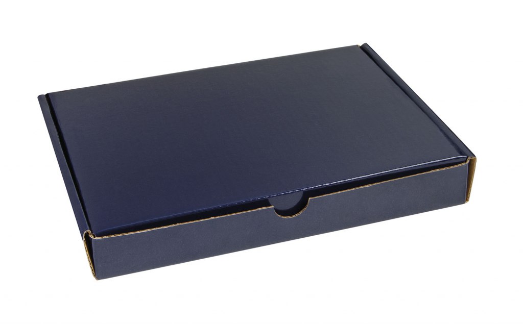 FOLDING BOX BLUE 210X160X30 MM