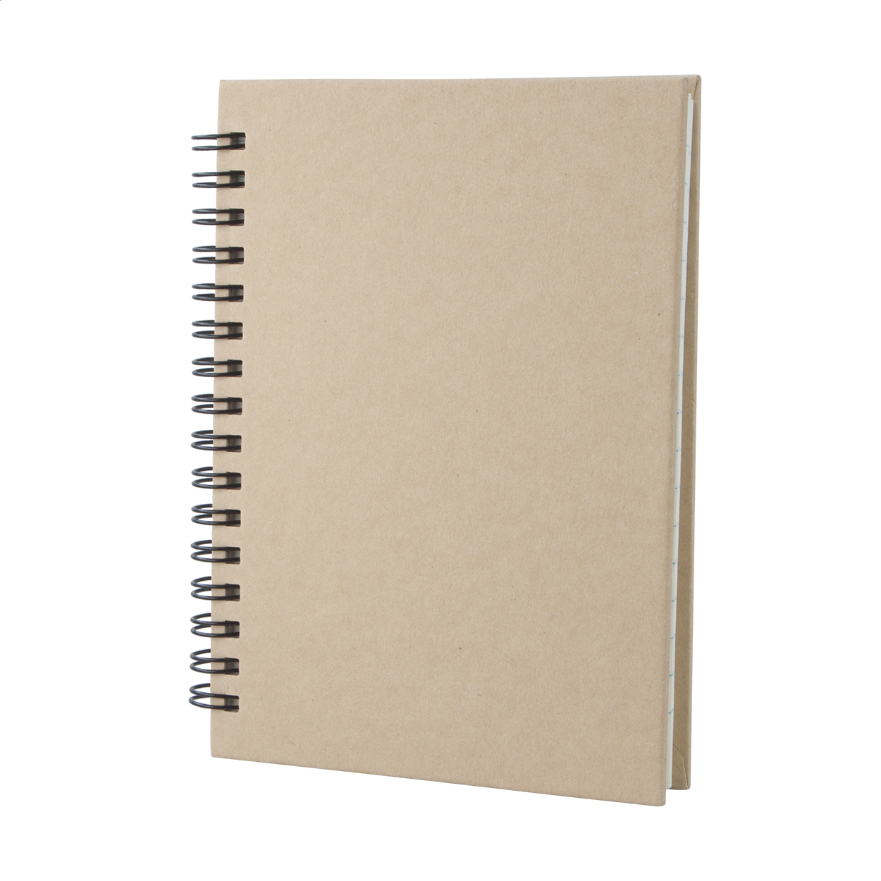 Cedrus A6 notebook