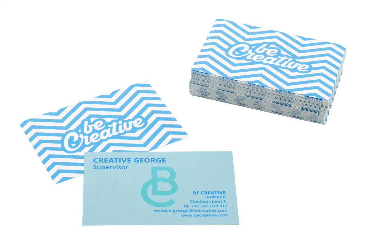 Visicard Safe custom tearproof business cards