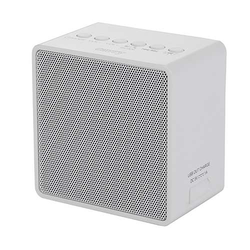 Compact bluetooth radio1