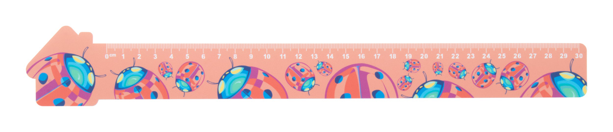 Couler 30 30 cm ruler, house