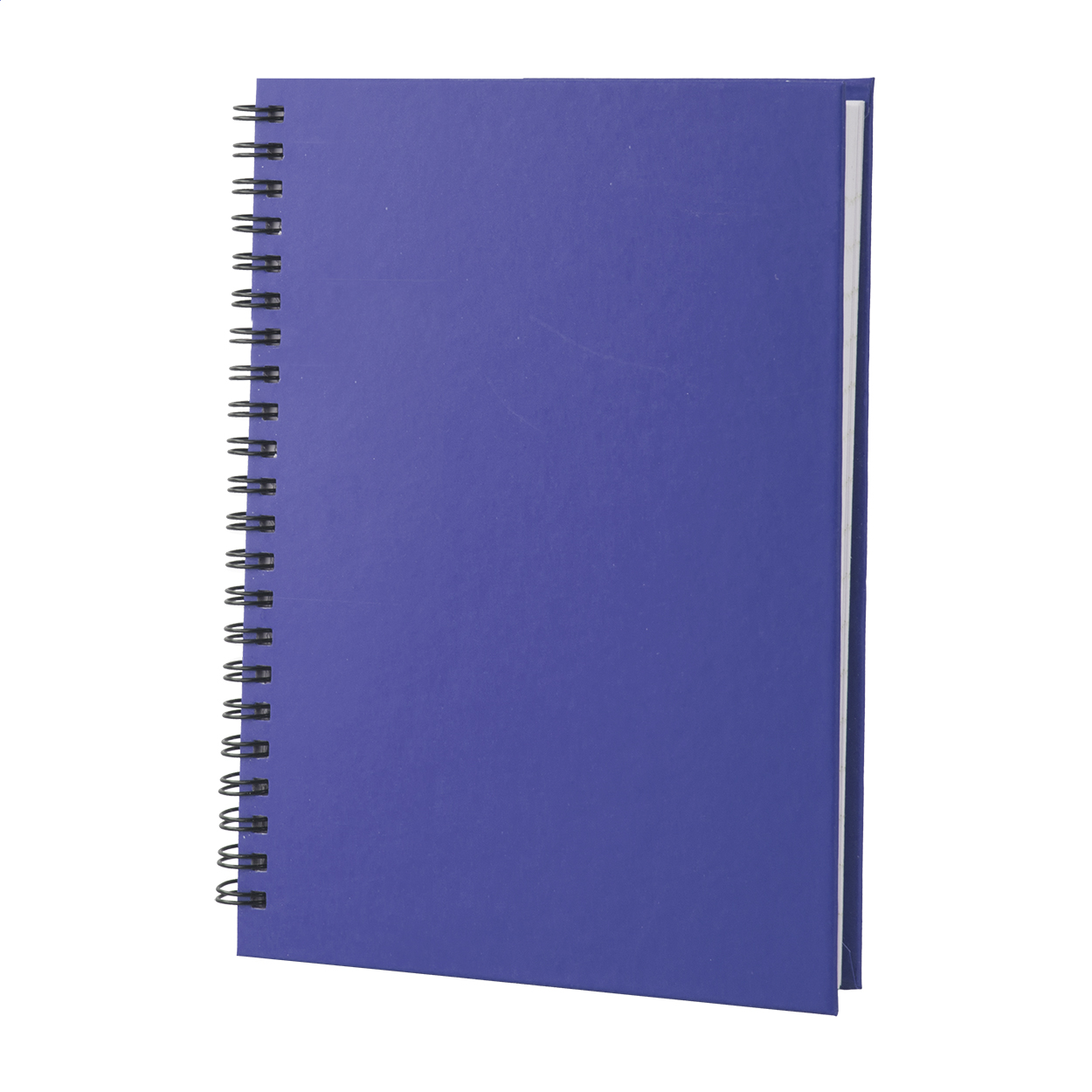 Cedrus A5 notebook