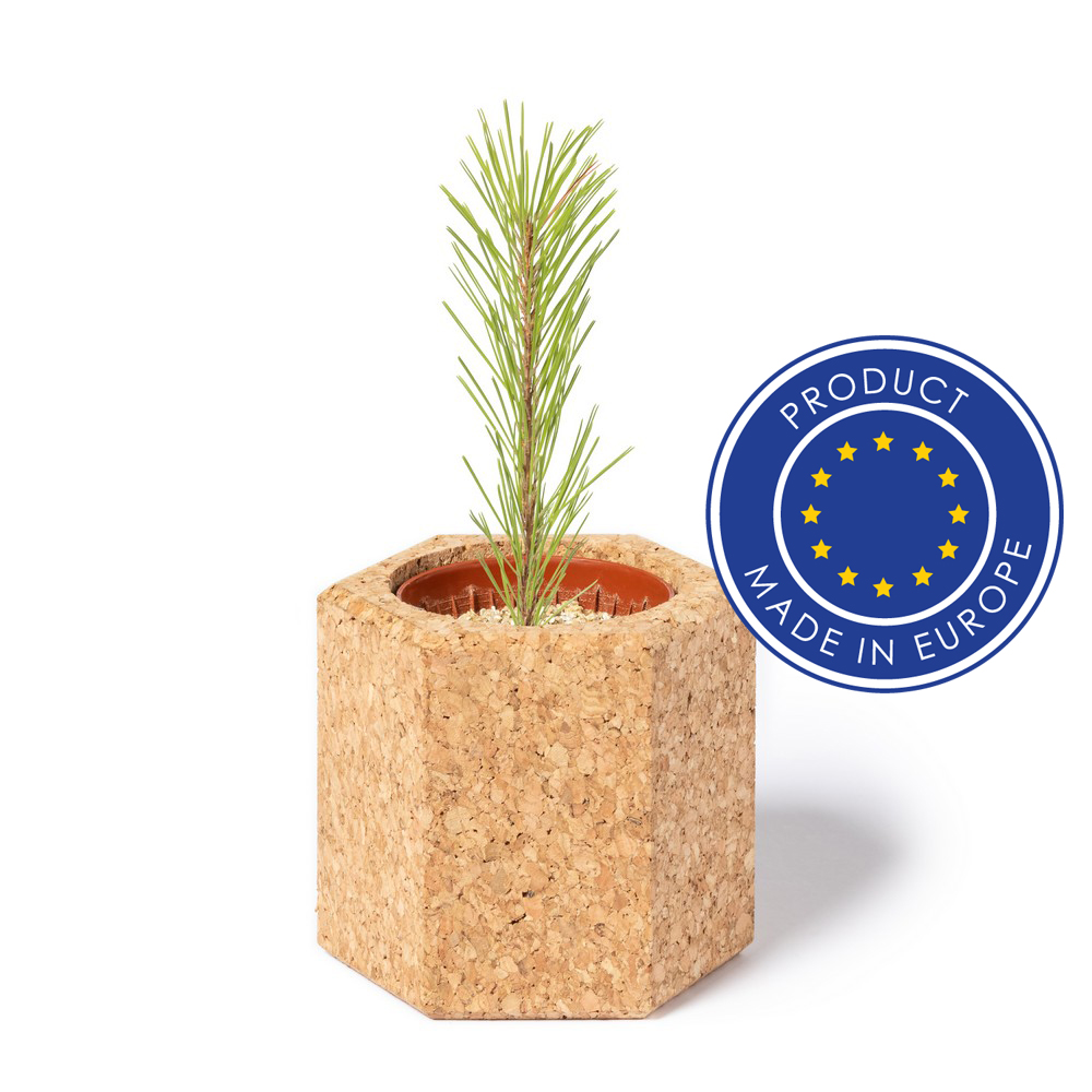 Cork pot, pine seeds