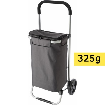 Shopping trolley, cooler bag