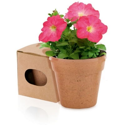 Flower pot, 5-8 petunia seeds and soil