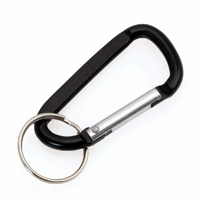 Keyring, carabiner