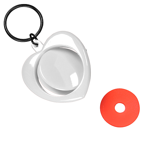 Rotating keyring 