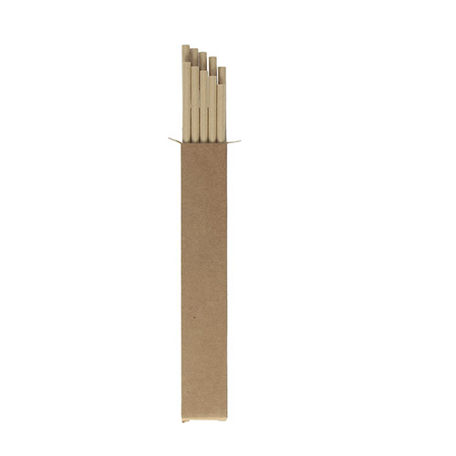 Pack of 10 paper straws 