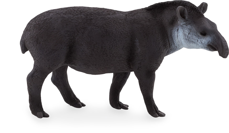 Animal Planet Brazilian Tapir