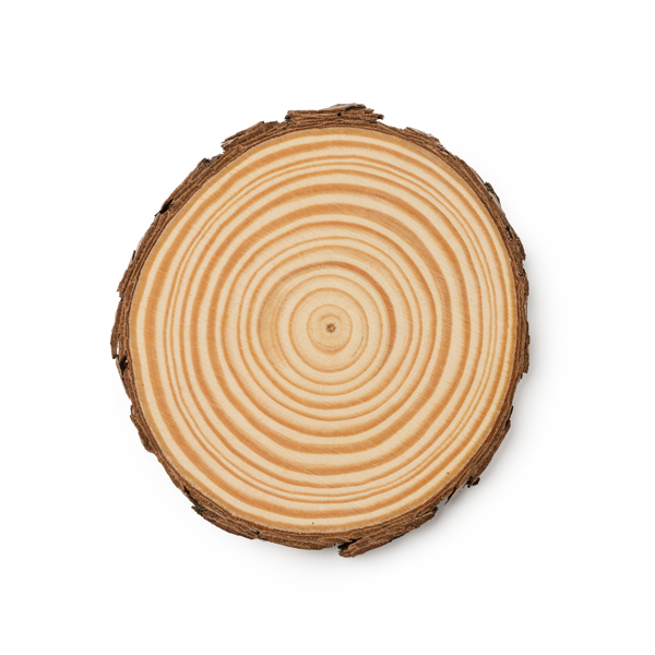 COASTER SET PINEA NATURAL