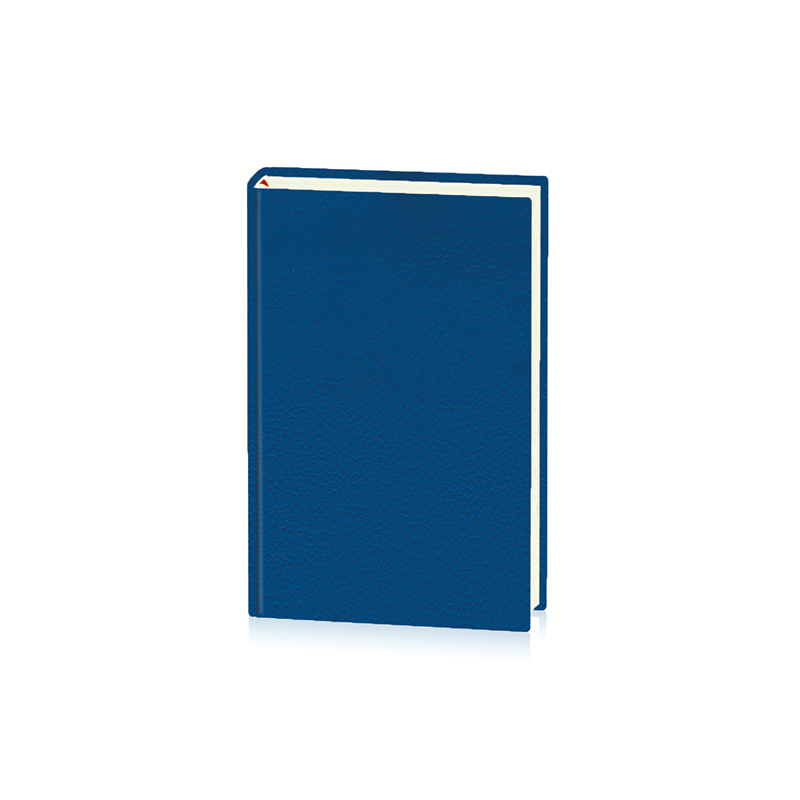 Agenda datata BASIC BR3