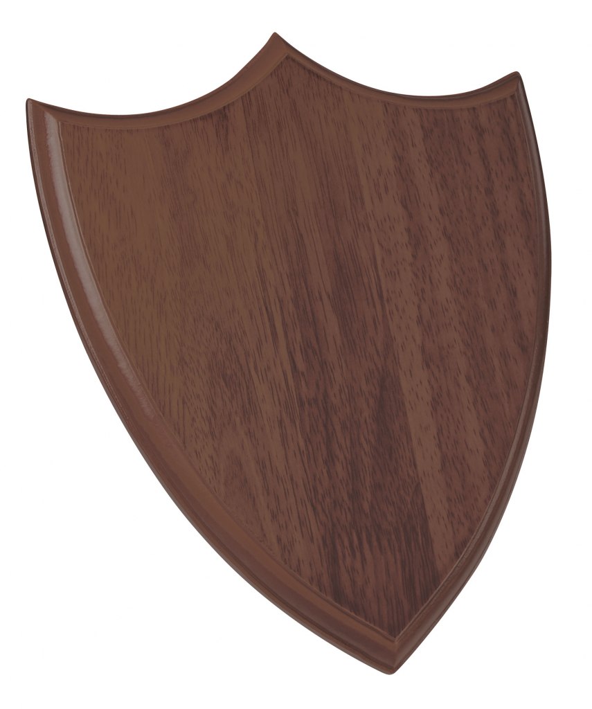 PLAQUE WALNUT 200X250X15 MM