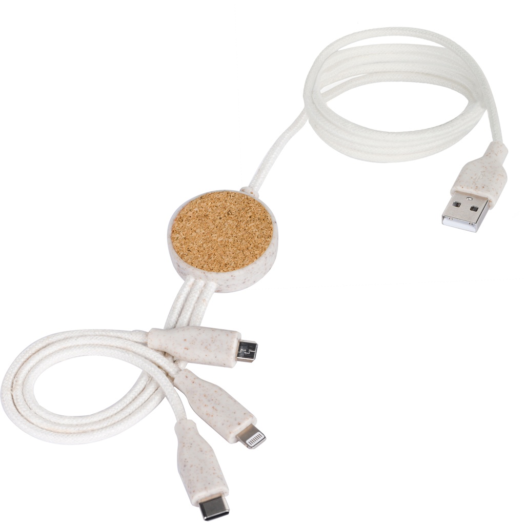 IN CHARGING CABLE