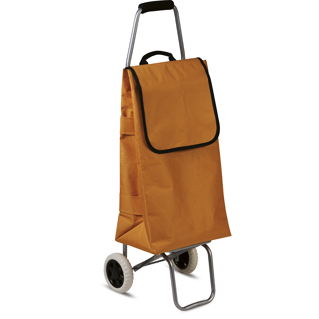 SHOPPING BAG WITH WHEELS