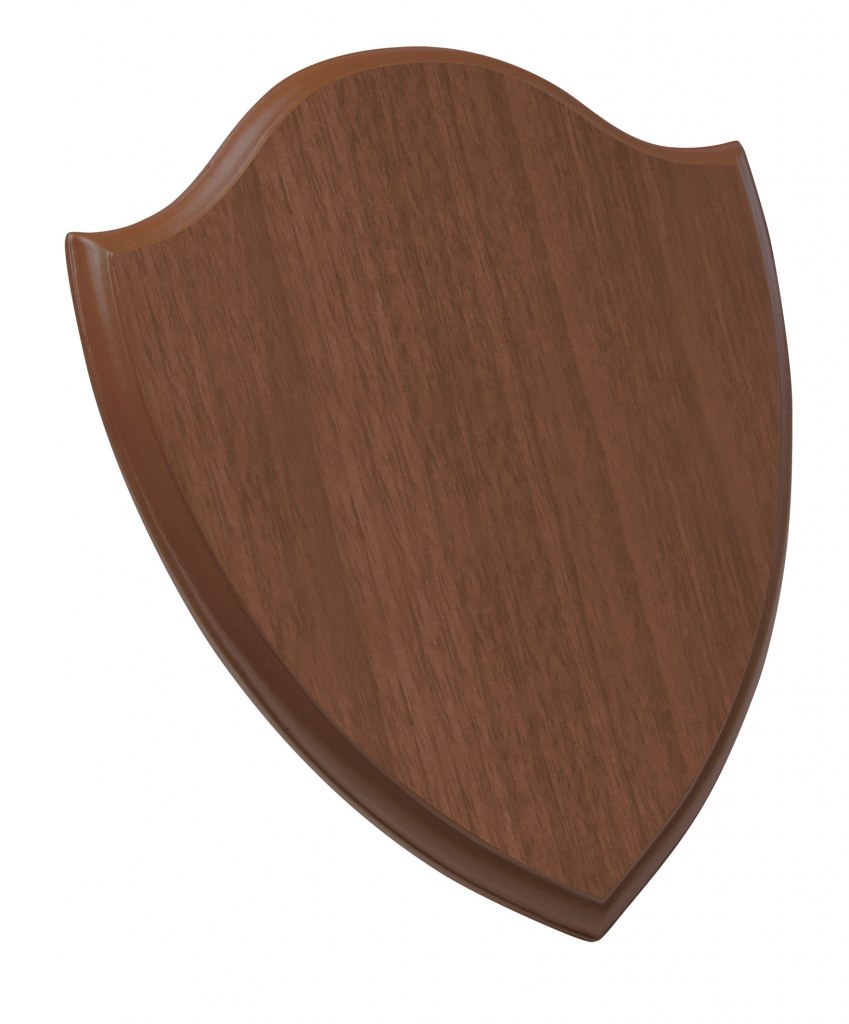 PLAQUE WALNUT 200X250X15 MM
