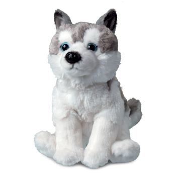 Plush husky Harri