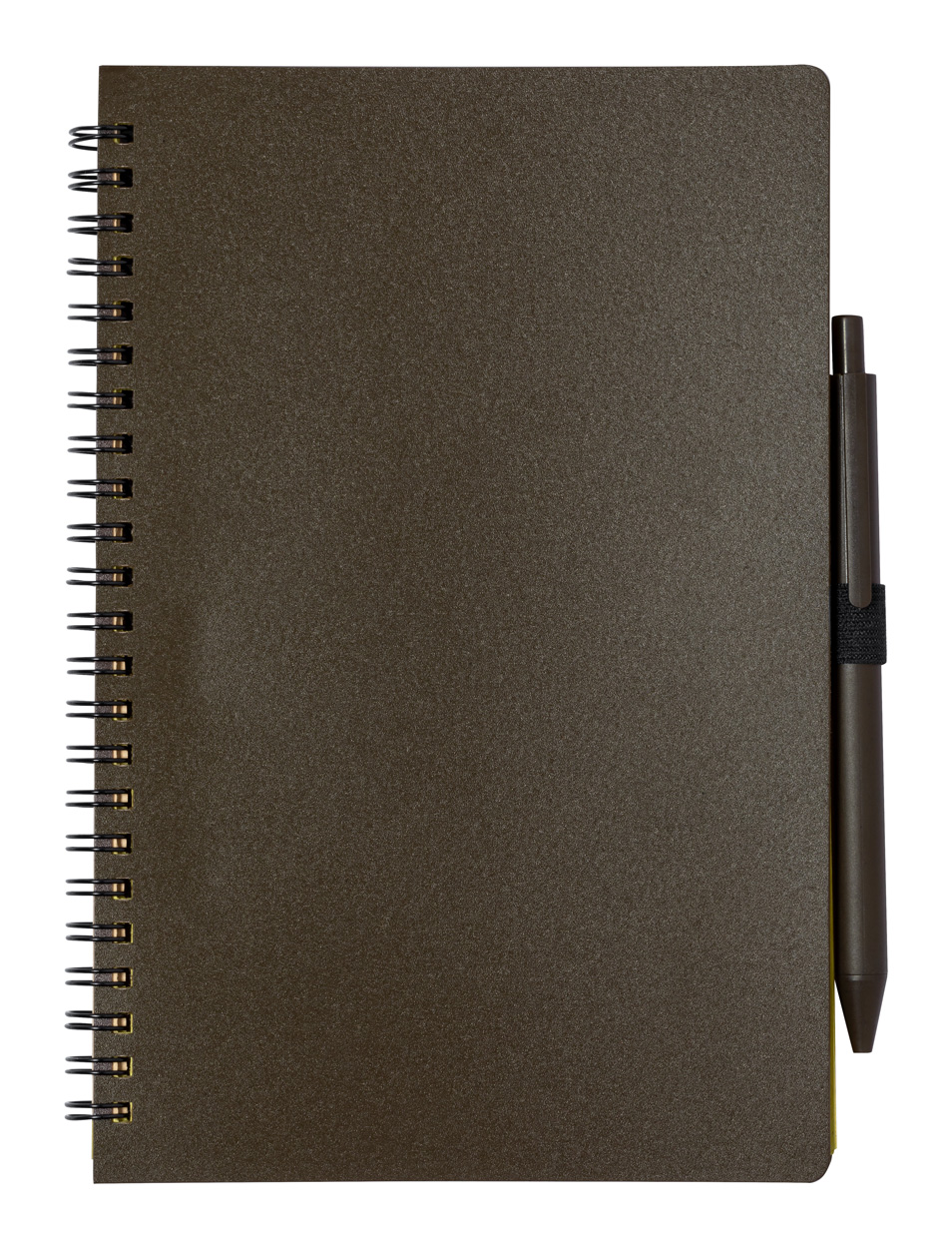 Alanna notebook