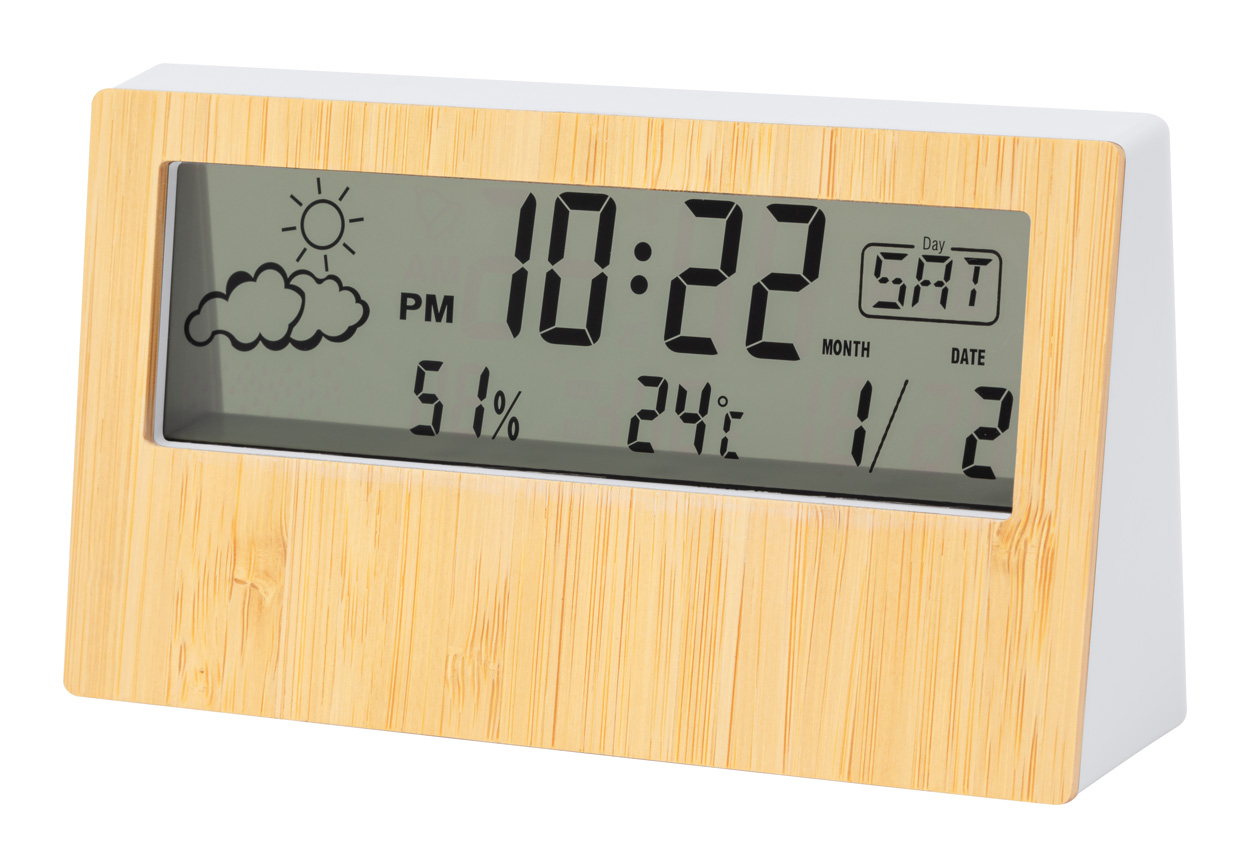 Zepra weather station