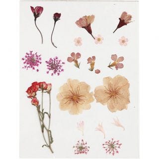 Pressed flowers