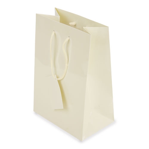 PLASTIFIED GIFT BAG