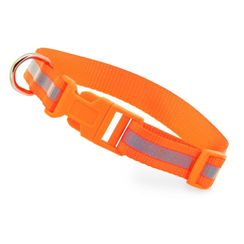 REFLECTIVECOLLAR ANIMAL