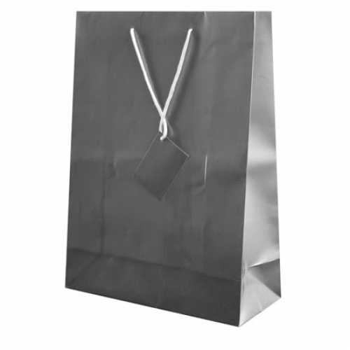 PLASTIFIED GIFT BAG