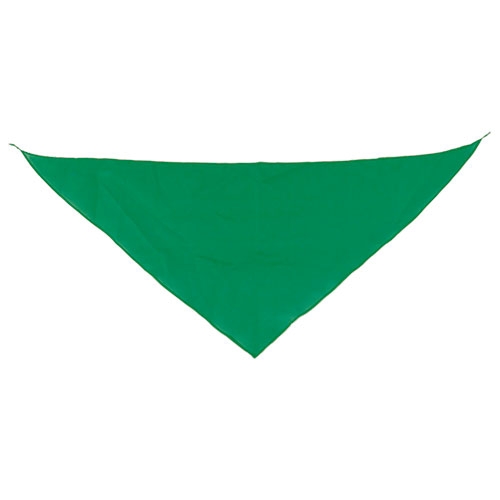 TRIANGULAR PENNANT