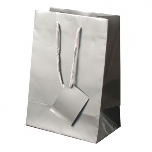 PLASTIFIED GIFT BAG