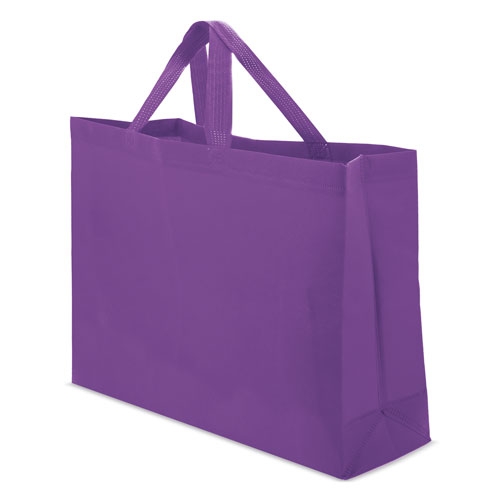  NON WOVEN BAG 