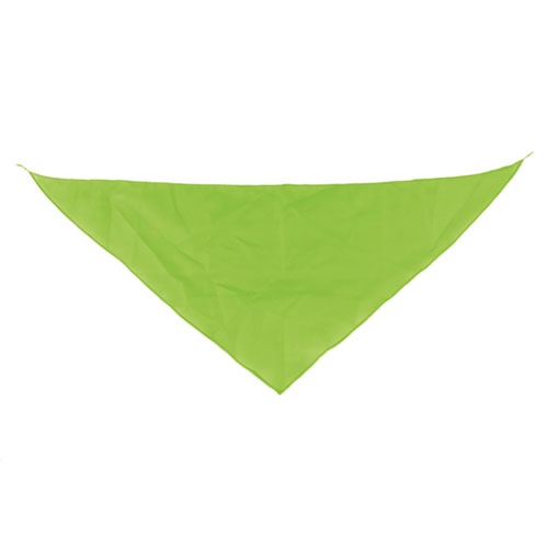 TRIANGULAR PENNANT