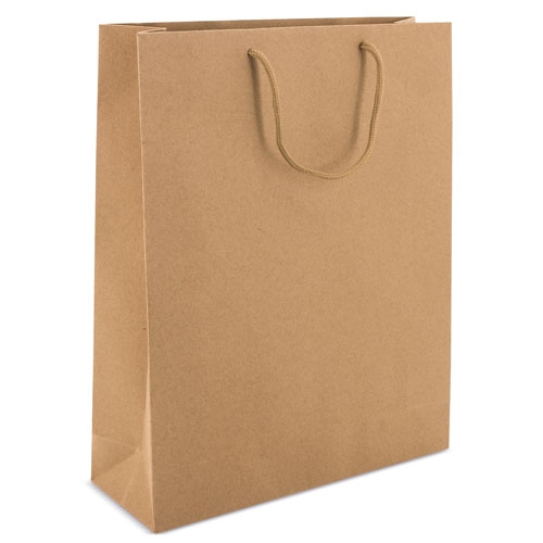 CARDBOARD BAG WITH LOOPSE HANDLE 