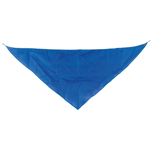 TRIANGULAR PENNANT