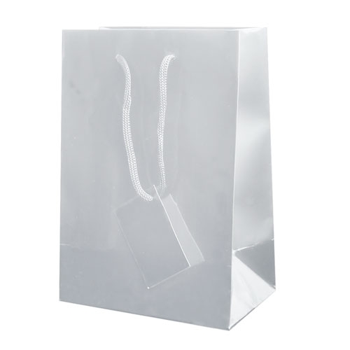 PLASTIFIED PAPER GIFT BAG