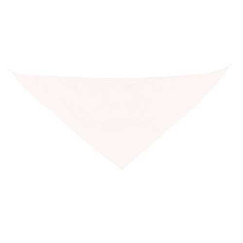 TRIANGULAR PENNANT