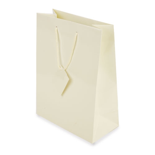 PLASTIFIED GIFT BAG