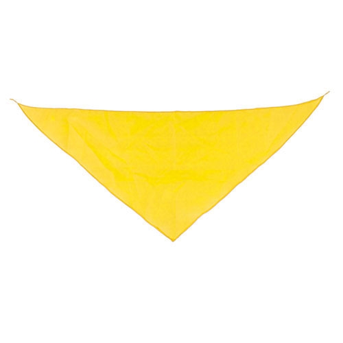 TRIANGULAR PENNANT