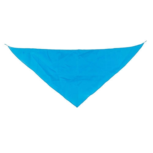 TRIANGULAR PENNANT