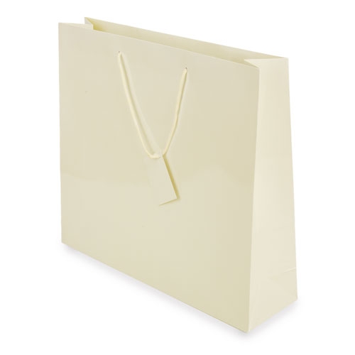 PLASTIFIED GIFT BAG