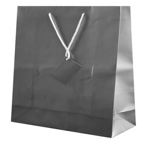 PLASTIFIED GIFT BAG