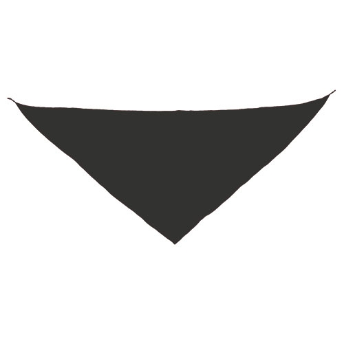 TRIANGULAR PENNANT