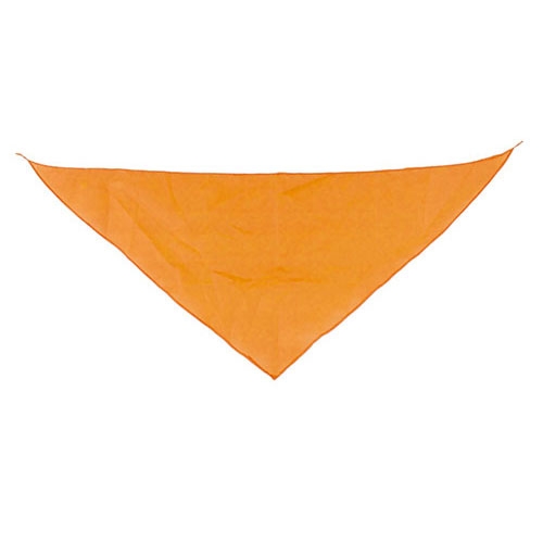 TRIANGULAR PENNANT