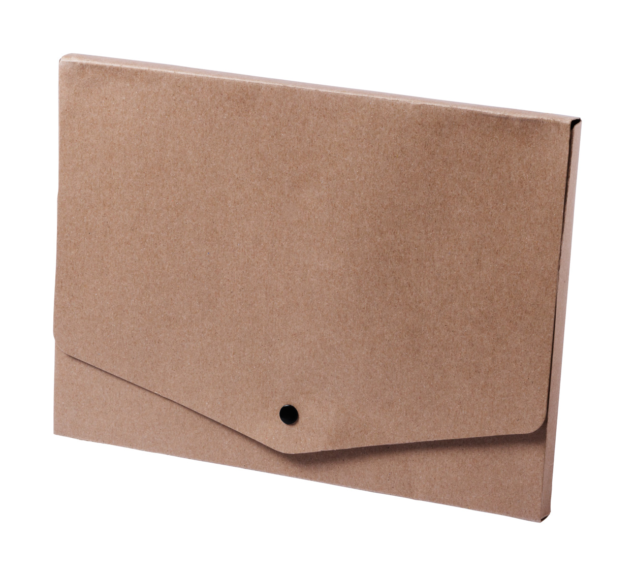 Damany document folder