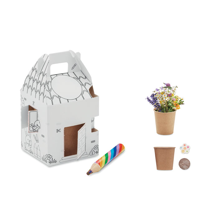 House shaped seeds grow set