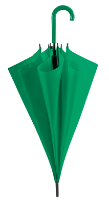 GREEN UMBRELLA TORIC