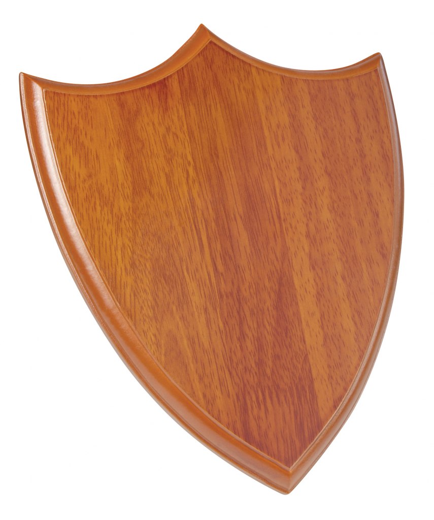 PLAQUE LIGHT-COLOURED 200X250X15 MM