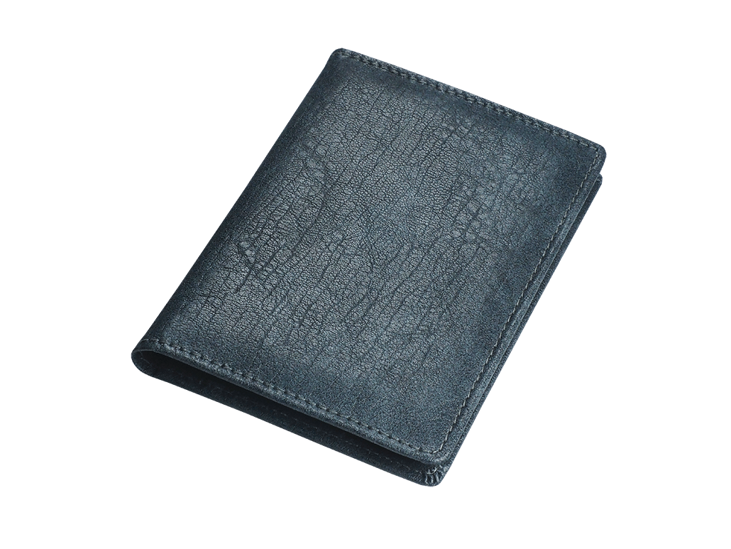 Document wallet